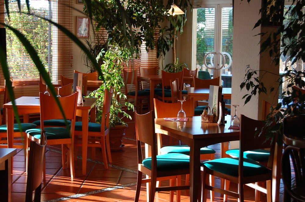 Готель Ibis Jerez De La Frontera Cadiz Екстер'єр фото